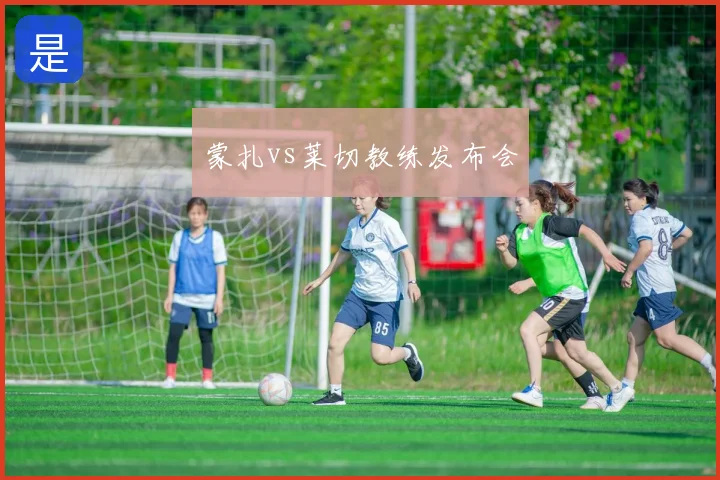 蒙扎vs莱切教练发布会