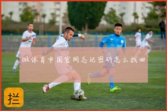 mk体育中国官网忘记密码怎么找回